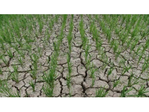 Climate Change - Drought in China